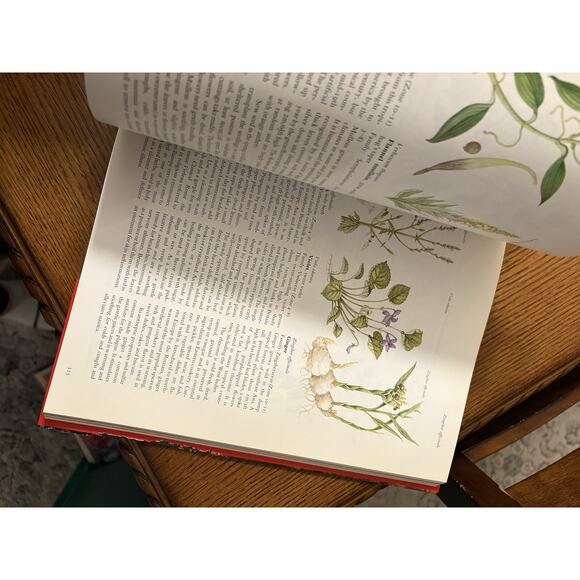 The Complete Book of Herbs and Spices by Sarah Garland Hardcover Book - Picture 6 of 10